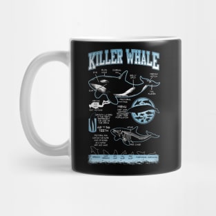 Killer Whale Diagram Physical Characteristics Mug